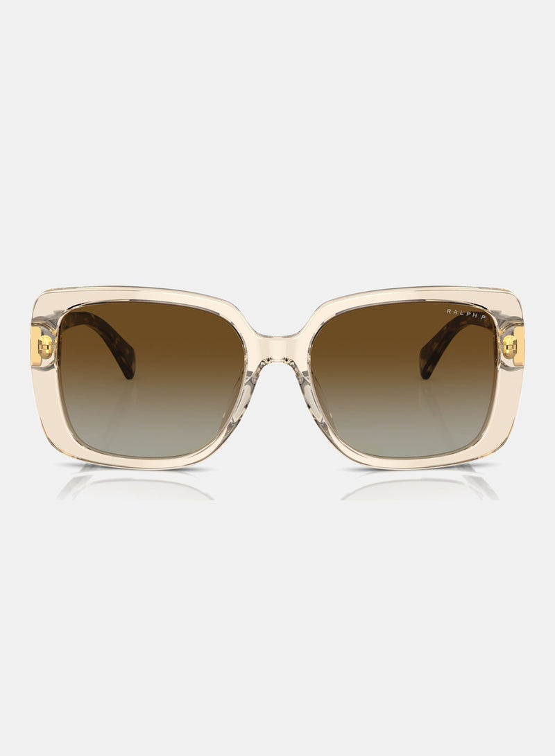 رالف نظارة شمسية بإطار كامل باترفلاي 0RA5298U - Image 5